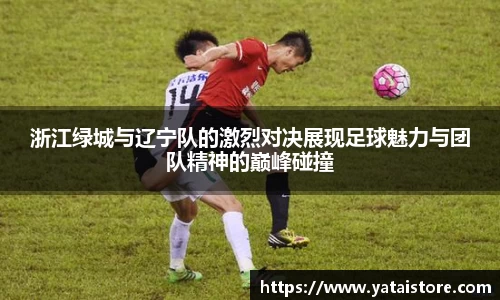浙江绿城与辽宁队的激烈对决展现足球魅力与团队精神的巅峰碰撞